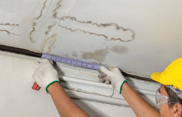 Reliable Water Damage contractor in Rantoul, KS by Water Damage Irwin